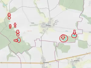 Prodej podílu lesa, Puclice, 12856 m2