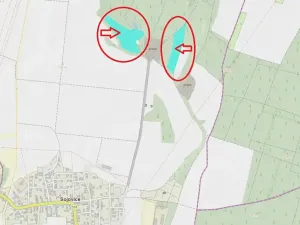 Prodej podílu lesa, Sojovice, 6719 m2