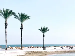 Prodej rodinného domu, Torrevieja, Španělsko, 81 m2