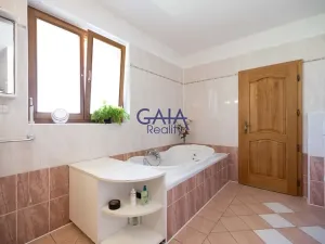 Prodej rodinného domu, Strážovice, 354 m2