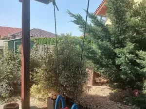 Prodej rodinného domu, Božice, 233 m2