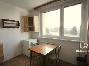 Prodej bytu 1+1, Vyškov - Dědice, Sídliště Osvobození, 30 m2