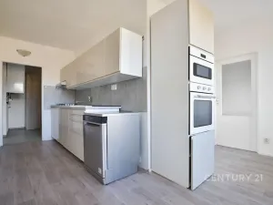 Pronájem bytu 3+1, Děčín, Slezská, 89 m2