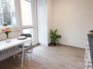 Pronájem bytu 1+1, Brno, Fričova, 46 m2