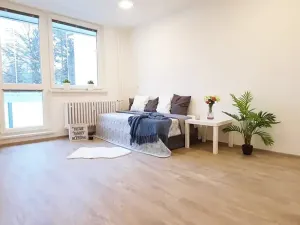 Pronájem bytu 1+1, Brno, Fričova, 46 m2