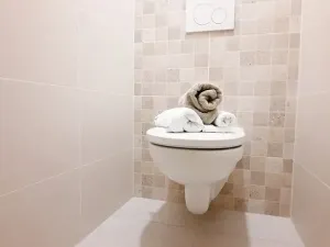 Pronájem bytu 1+1, Brno, Fričova, 46 m2