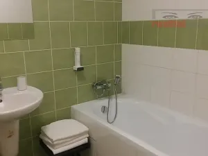 Prodej bytu 1+kk, Říčky v Orlických horách, 55 m2