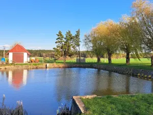 Prodej pozemku, Řípec, 6742 m2