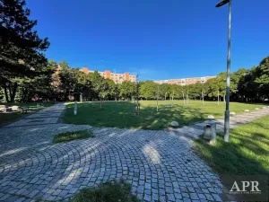 Pronájem bytu 2+1, Brno, náměstí SNP, 45 m2