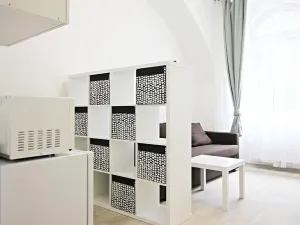 Pronájem bytu 1+kk, Brno, Koliště, 26 m2