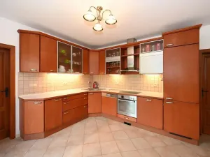 Pronájem rodinného domu, Světice, Na Spojce, 320 m2