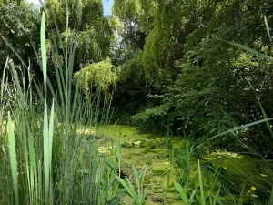 Pronájem rodinného domu, Světice, Na Spojce, 320 m2