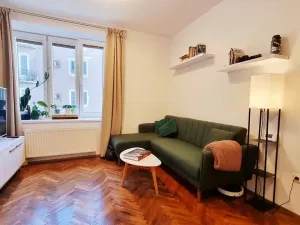 Pronájem bytu 1+1, Brno, Tučkova, 44 m2