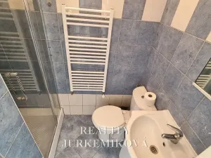Pronájem bytu 1+kk, České Budějovice, 25 m2