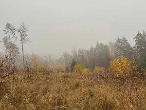 Prodej lesa, Úboč, 13538 m2