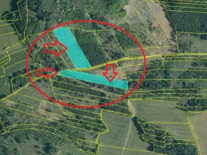 Prodej lesa, Úboč, 13538 m2