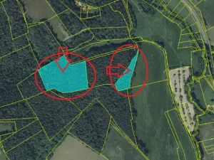 Prodej lesa, Český Dub, 17551 m2