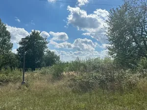 Prodej ubytování, Bílé Poličany, 1000 m2