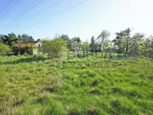 Prodej zahrady, Mělník, 9817 m2