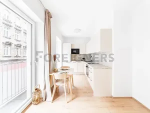 Pronájem bytu 1+kk, Brno, Spolková, 28 m2