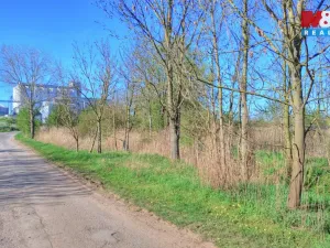 Prodej komerčního pozemku, Smiřice, 5275 m2