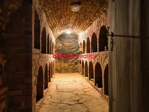 Prodej domu, Luka nad Jihlavou, Nádražní, 2812 m2