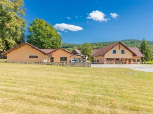 Prodej ubytování, Horní Stropnice, 700 m2