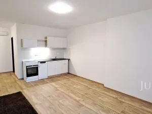 Pronájem bytu 1+kk, Čížová, 25 m2