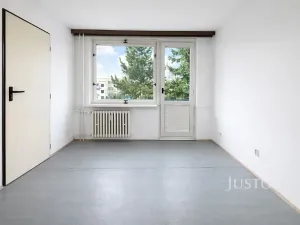 Prodej bytu 1+1, Písek, třída Přátelství, 38 m2