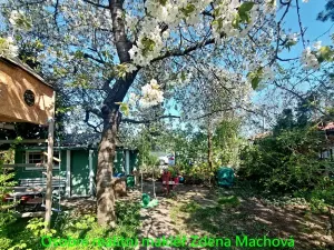 Prodej zahrady, Praha, Na Balkáně, 250 m2