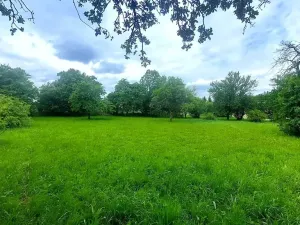 Prodej pozemku pro bydlení, Pecka, 1250 m2