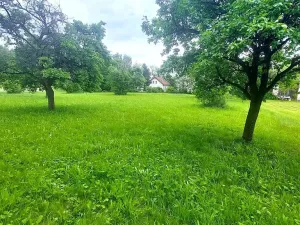 Prodej pozemku pro bydlení, Pecka, 1250 m2