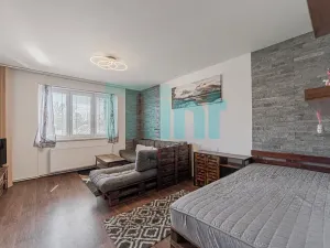 Pronájem bytu 1+1, Klimkovice, Smetanova, 40 m2