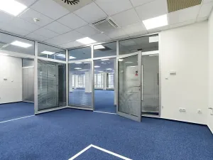 Pronájem kanceláře, Brno, Masarykova, 505 m2