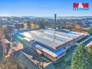 Prodej výrobních prostor, Miletín, Lhotova, 22000 m2