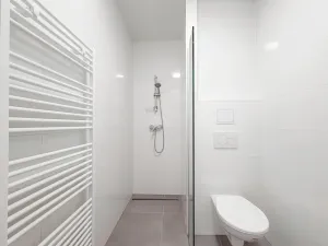 Pronájem bytu 2+kk, Praha - Žižkov, Jeseniova, 54 m2