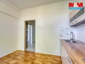 Pronájem bytu 1+1, Plzeň - Východní Předměstí, Francouzská třída, 38 m2