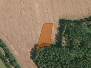 Prodej pole, Kasejovice, 5802 m2