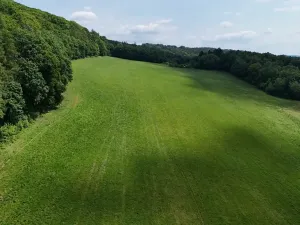 Prodej podílu zemědělské usedlosti, Bradlecká Lhota, 394 m2