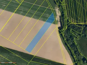 Prodej pole, Zámrsky, 7750 m2