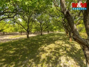 Prodej pole, Židlochovice, 4295 m2