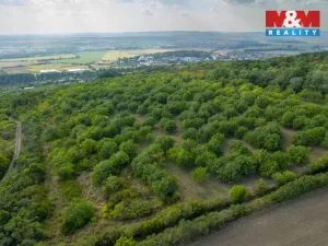 Prodej pole, Židlochovice, 4295 m2