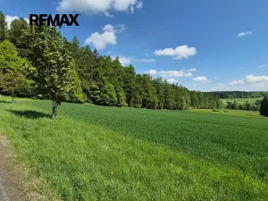 Prodej pozemku pro bydlení, Borová, 7429 m2