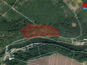 Prodej lesa, Řepeč, 39640 m2