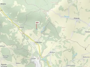 Dražba lesa, Zubrnice, 4610 m2