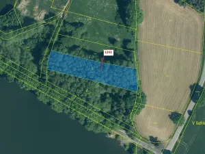 Dražba lesa, Nezdřev, 2662 m2