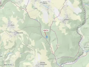 Dražba lesa, Jílové u Držkova, 10166 m2