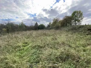 Dražba pozemku pro bydlení, Javorník, 1651 m2