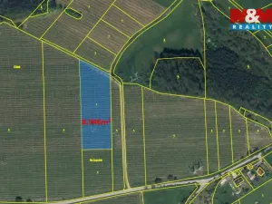 Prodej pole, Synkov-Slemeno - Slemeno, 8946 m2