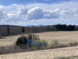 Prodej chaty, Jívka, 183 m2